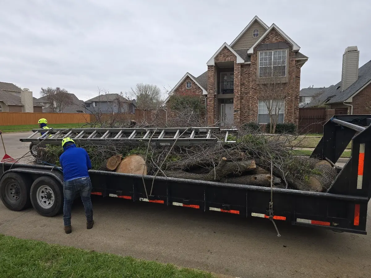 Expert Tree Removal with proper safety equipment in Westby